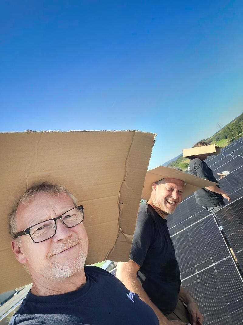 Wenn die Sonne zu ehrlich scheint